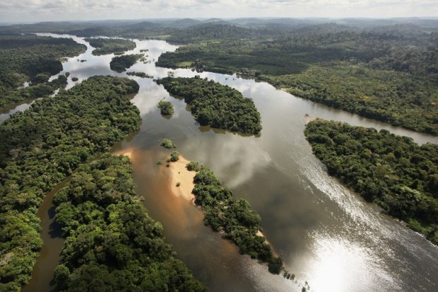 Amazon rainforest