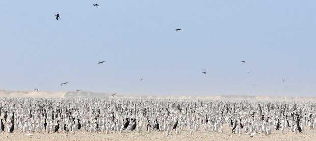 Hawar Islands, Bahrain