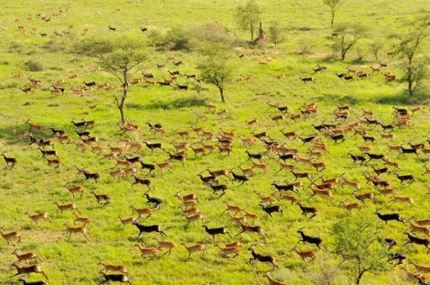 bandigalo-national-park-south-sudan