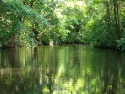 tortuguero-canals-costa-rica